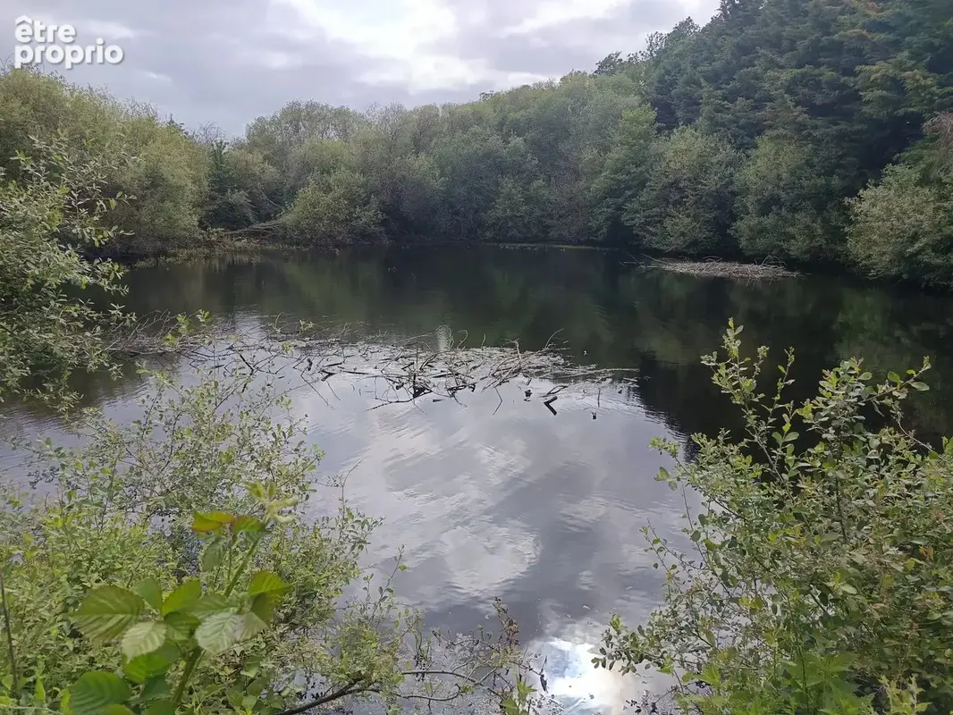 2 etangs au milieu de la verdure - photo 5