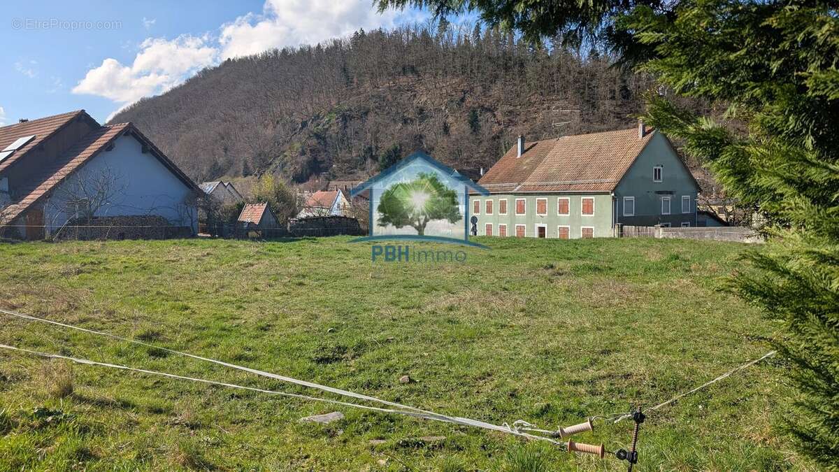 Terrain à SAINTE-MARIE-AUX-MINES