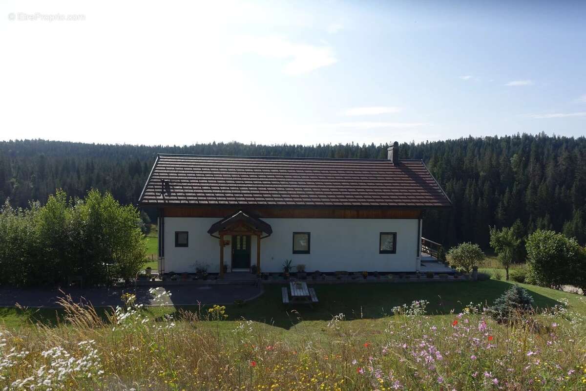 Magnifique Maison avec 6045m² de terrain et vue dégagée - photo 2