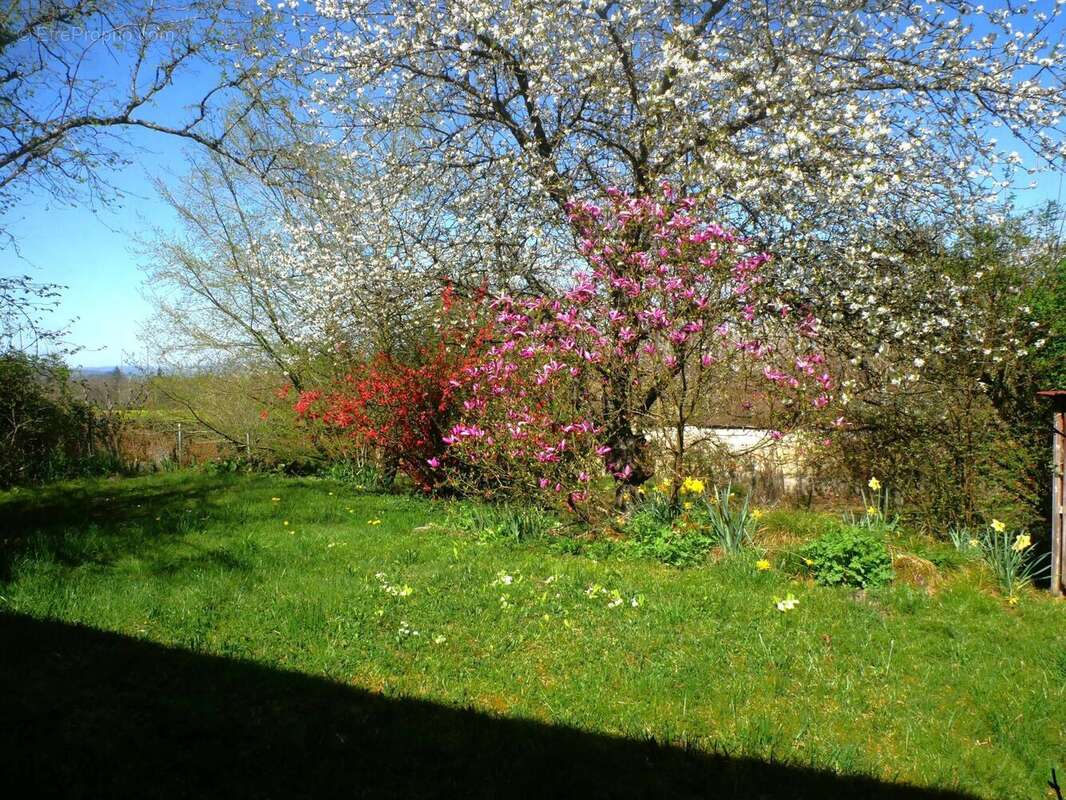 Photo 7 - Maison à DOLOMIEU