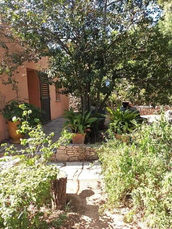 Dpt Gard (30), à vendre NIMES maison P5  - Terrain de 1800 m² - photo 3