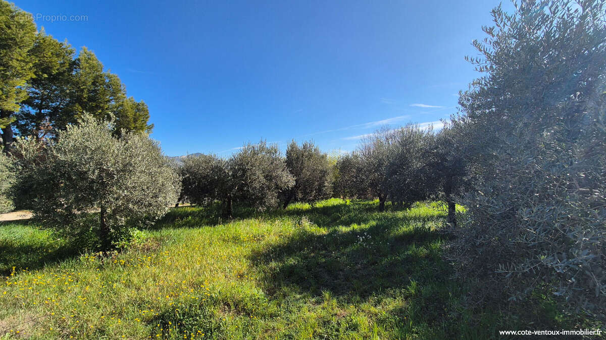 Terrain à AUBIGNAN