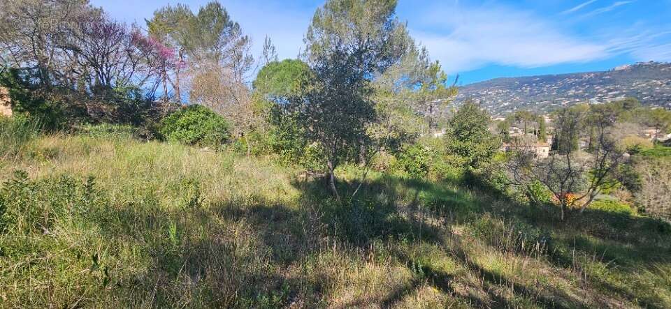 Terrain à PEYMEINADE