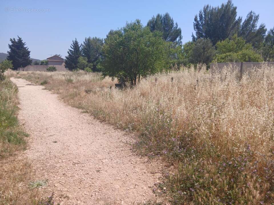 Terrain à CUERS