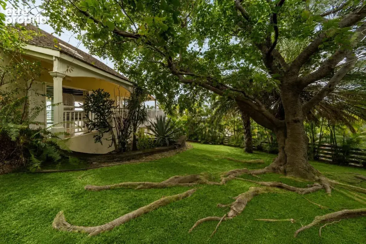 Villa T5 d'exception à Bellemène (Saint-Paul) - photo 17