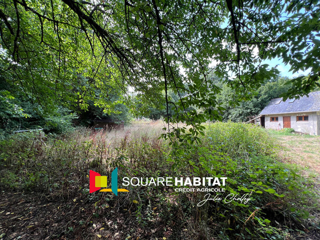 Terrain à BOUILLE-MENARD