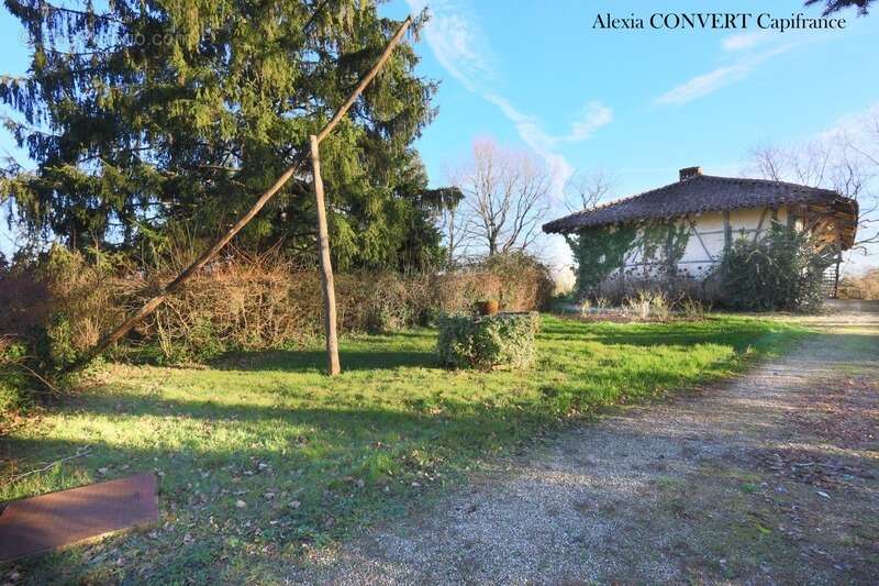 Maison à MONTREVEL-EN-BRESSE
