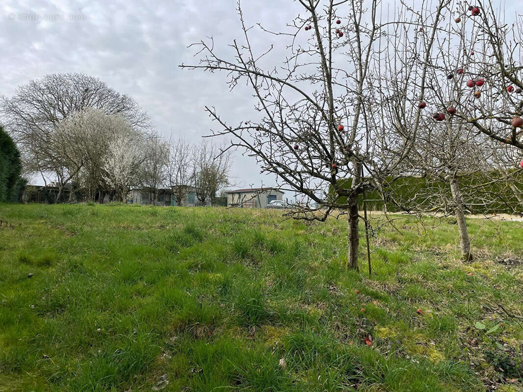 Terrain à CROUY-SUR-OURCQ