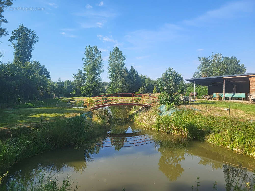 Terrain à CHATILLON-SUR-CHALARONNE