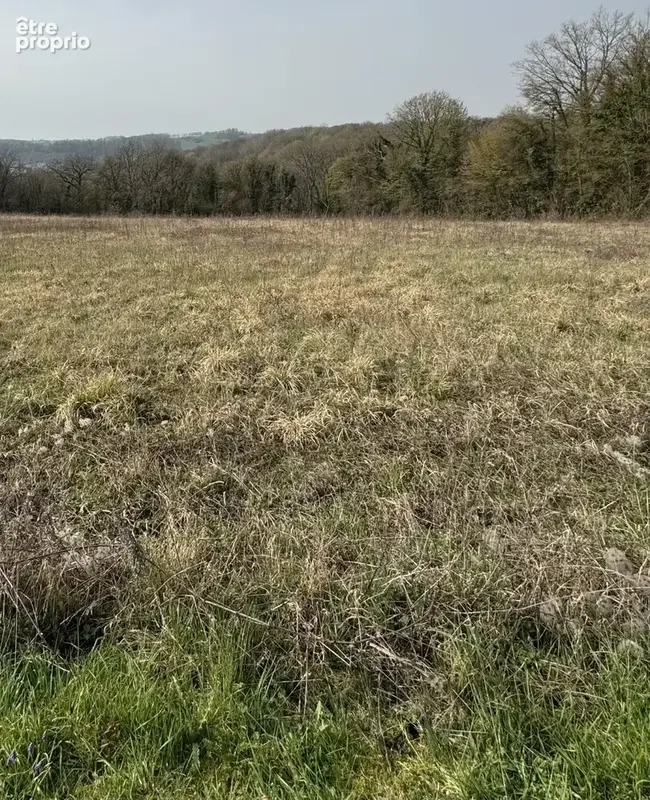 Terrain à MONTREUIL-AUX-LIONS