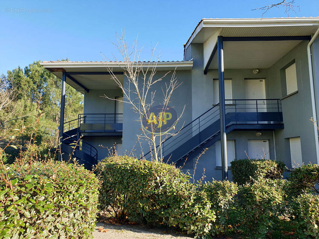 Appartement à LE VERDON-SUR-MER