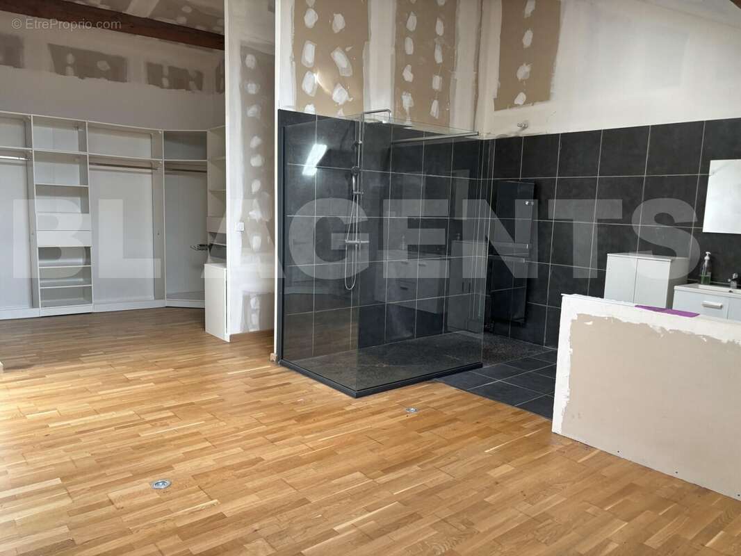 IMG_5835 - Maison à MONTAUBAN