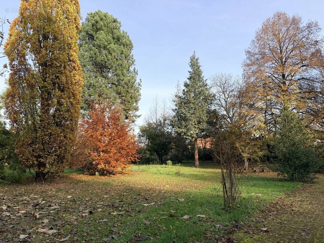 Appartement à OBERNAI