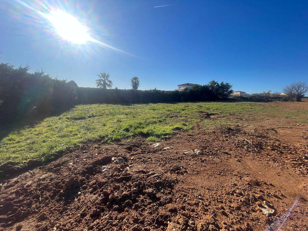 Terrain à THEZAN-LES-BEZIERS