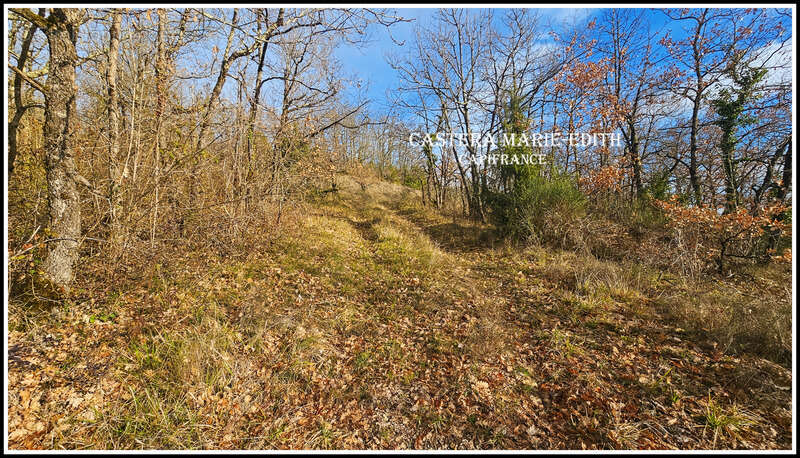 Terrain  à vendre  pessan (32) - photo 11