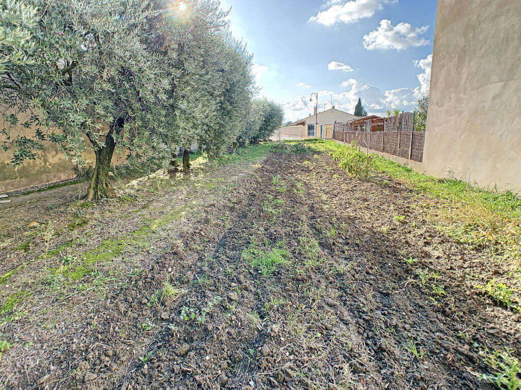 Terrain à CHEVAL-BLANC
