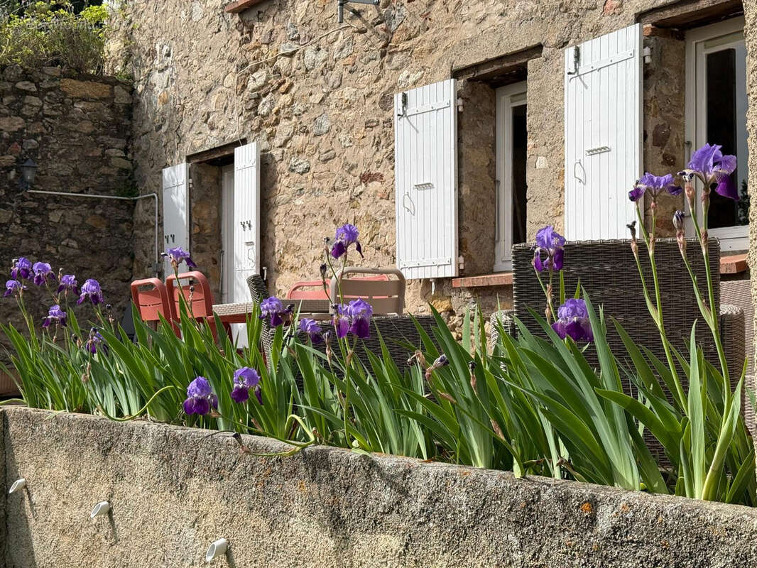 Maison à VILLELONGUE-DELS-MONTS