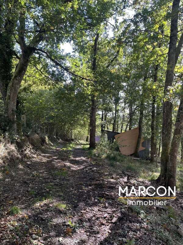 Maison 128 m² à Felletin  - photo 20