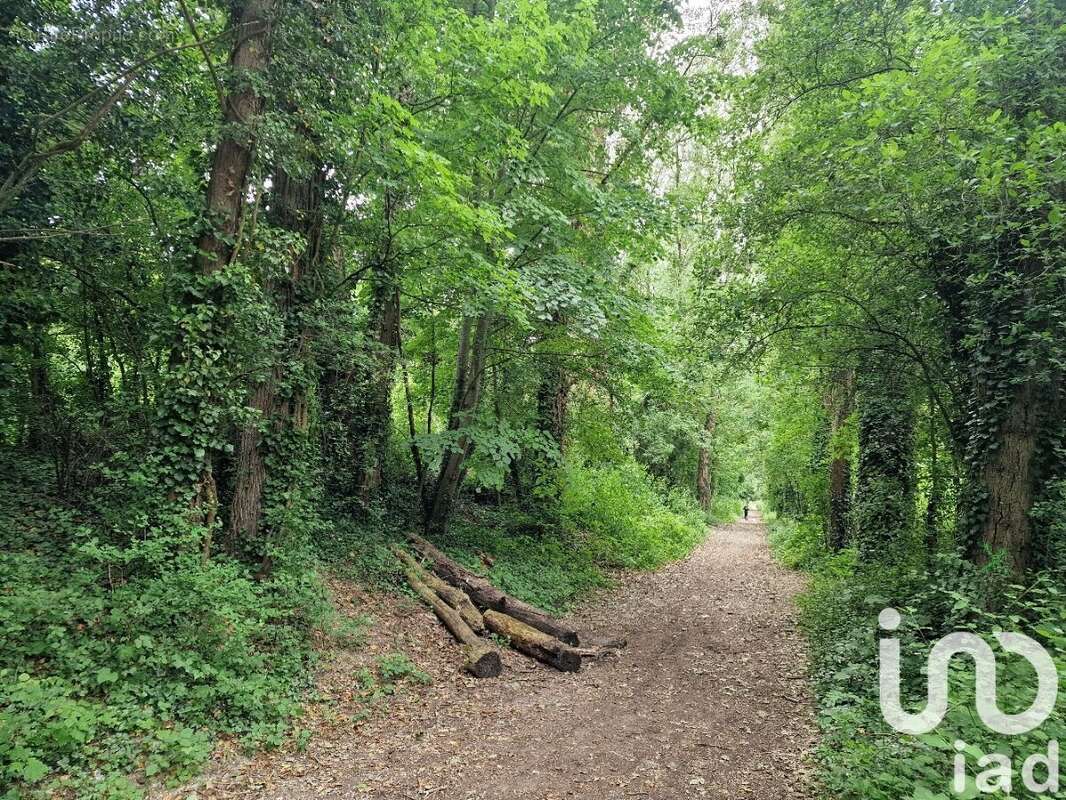 Photo 7 - Appartement à NEUILLY-SUR-MARNE