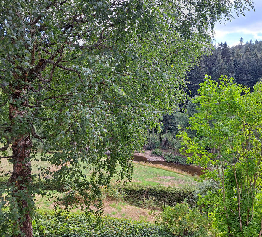 Maison à LE CHAMBON-SUR-LIGNON