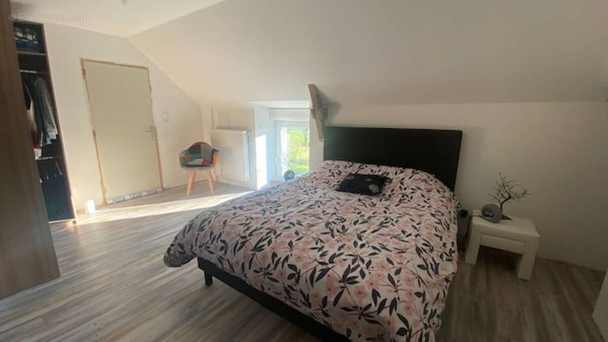 IMG2809 - Maison à MONTOURS