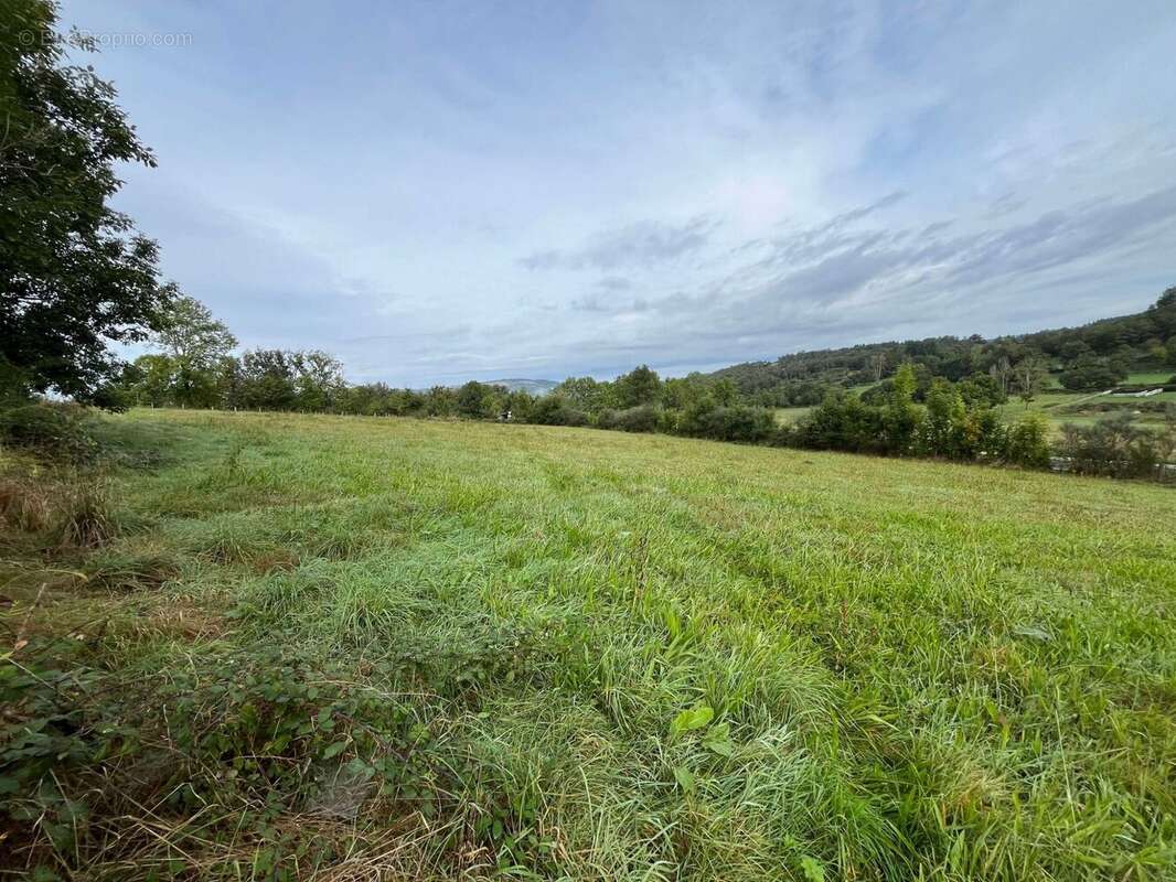 Terrain 6180 m² à Vebret  - photo 4