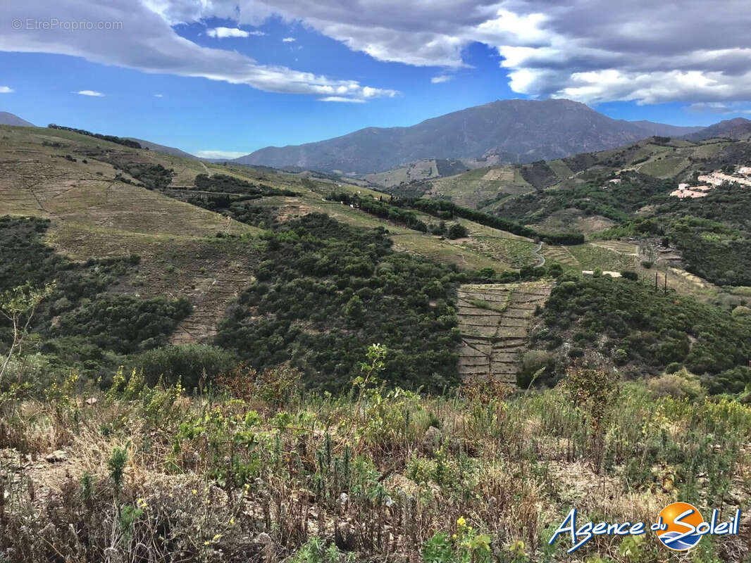 Terrain à BANYULS-SUR-MER