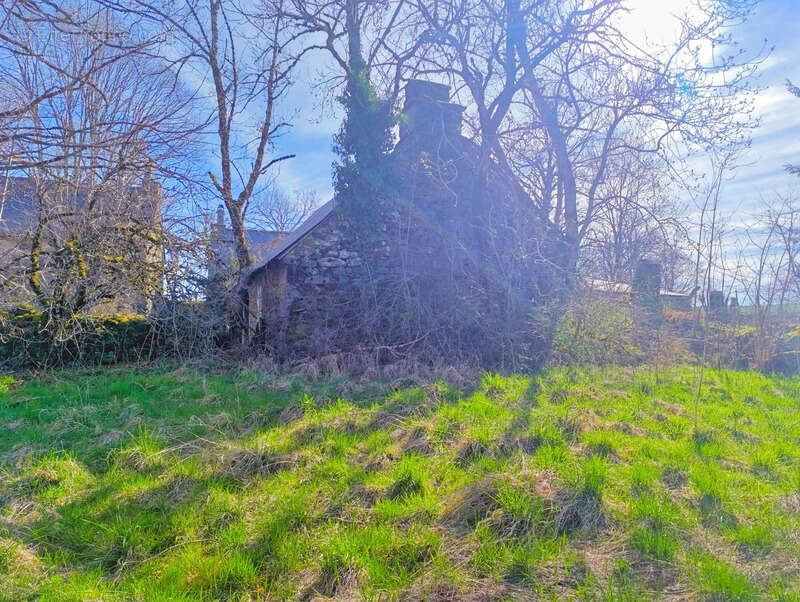 Maison à SAINT-VINCENT-DE-SALERS