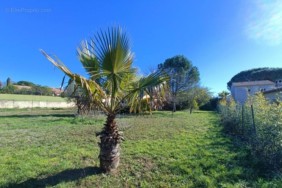 Terrain à VIDAUBAN