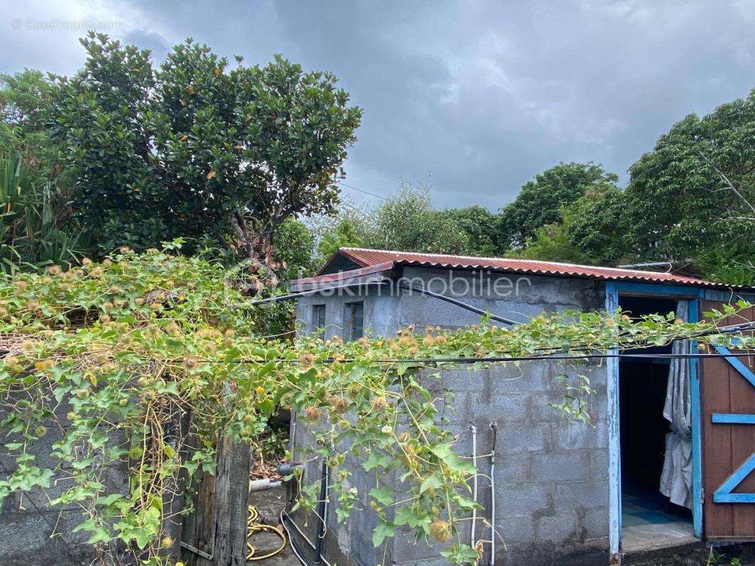 Terrain à SAINT-LEU