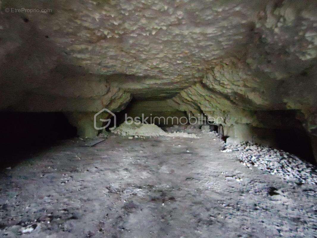 caves et terrain 3173 m² - photo 11