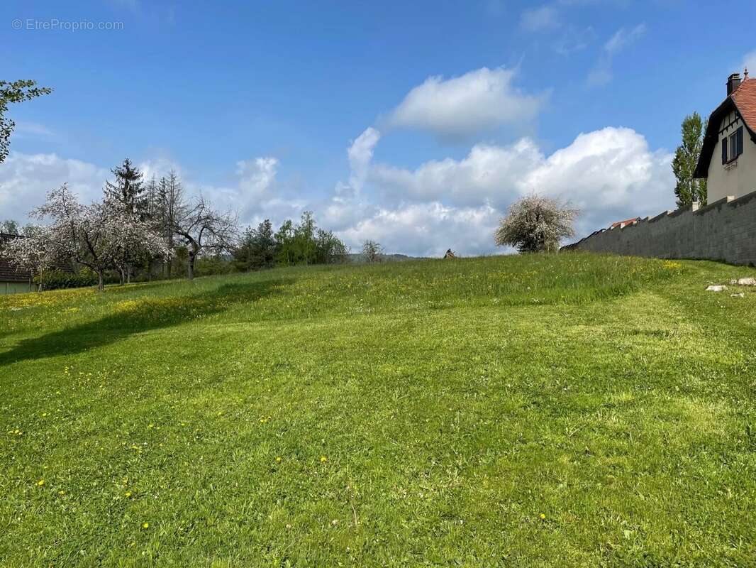 Terrain à STEINBOURG