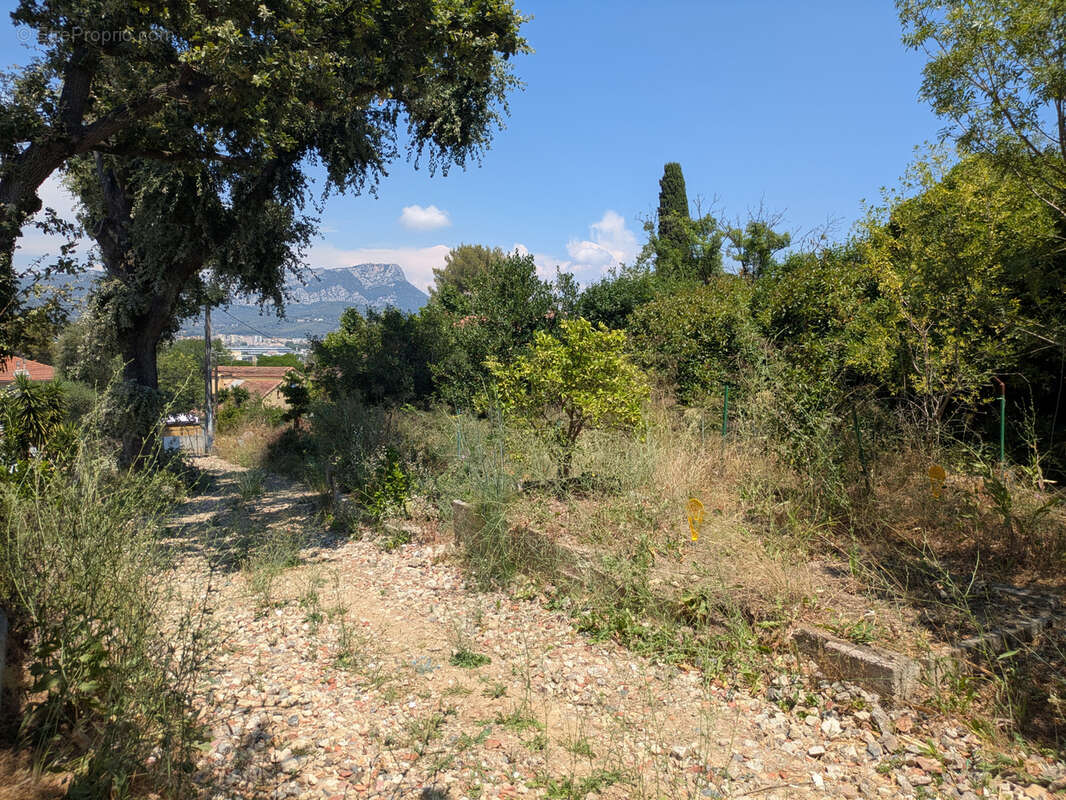 Terrain à TOULON