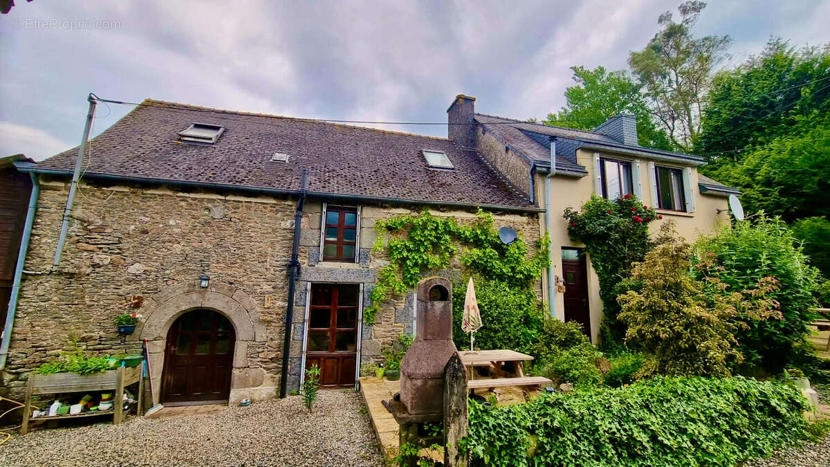 Maison à COLLINEE