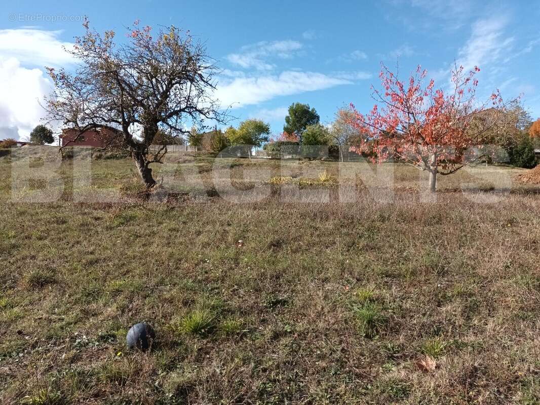 Photo 2 terrain Villefloure - Terrain à VILLEFLOURE