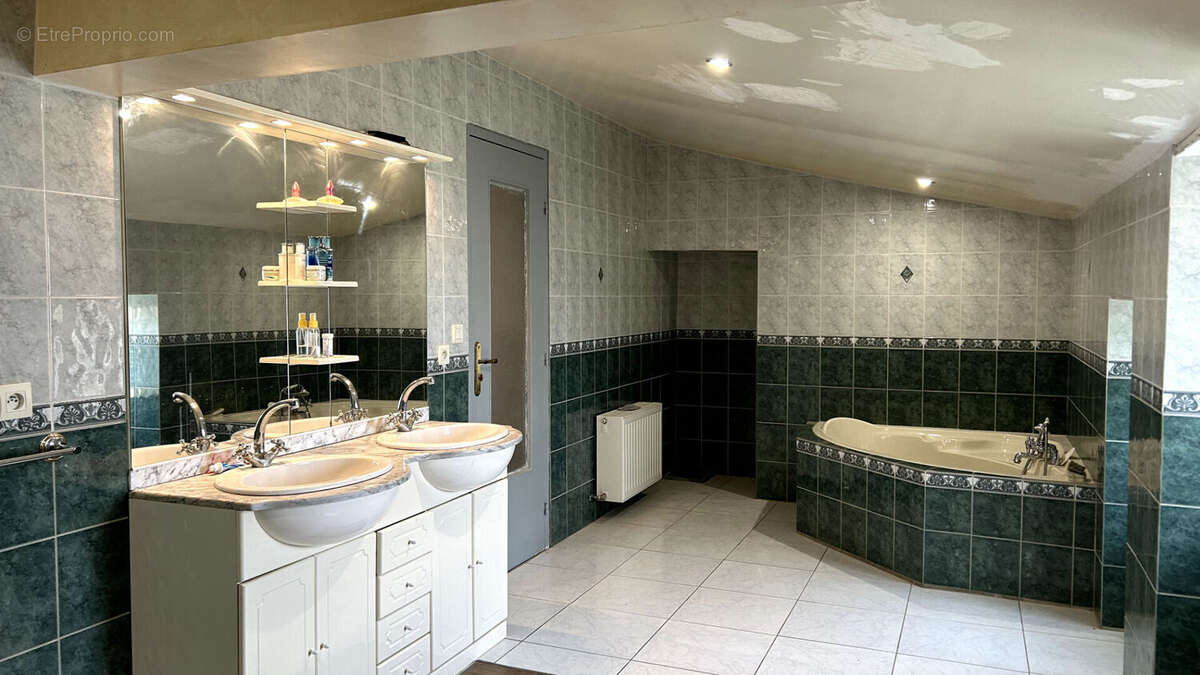 Maison  7 pièce(s) 208 m2 SEGRE EN ANJOU BLEU - photo 9