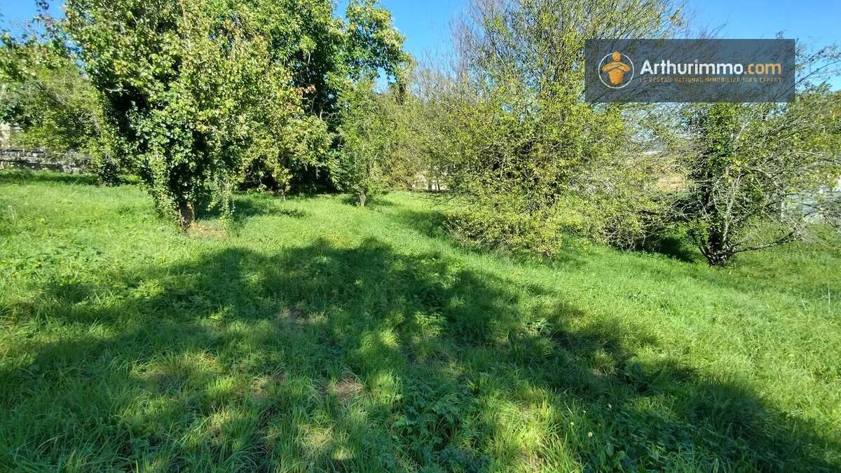 Terrain à LAROQUE-D&#039;OLMES