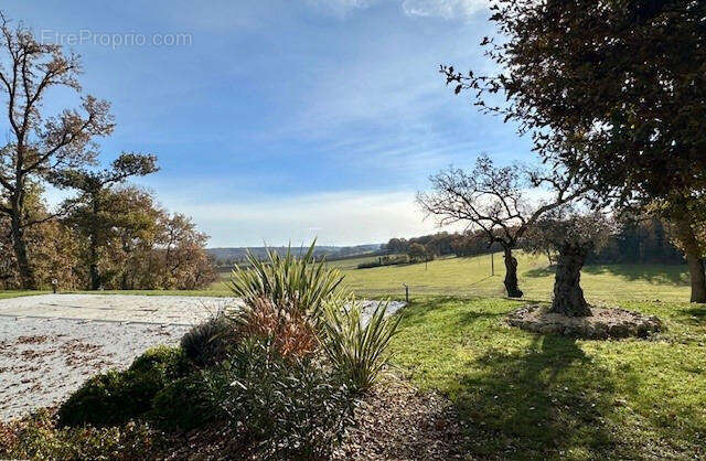vue de la piscine - Maison à MAUVEZIN