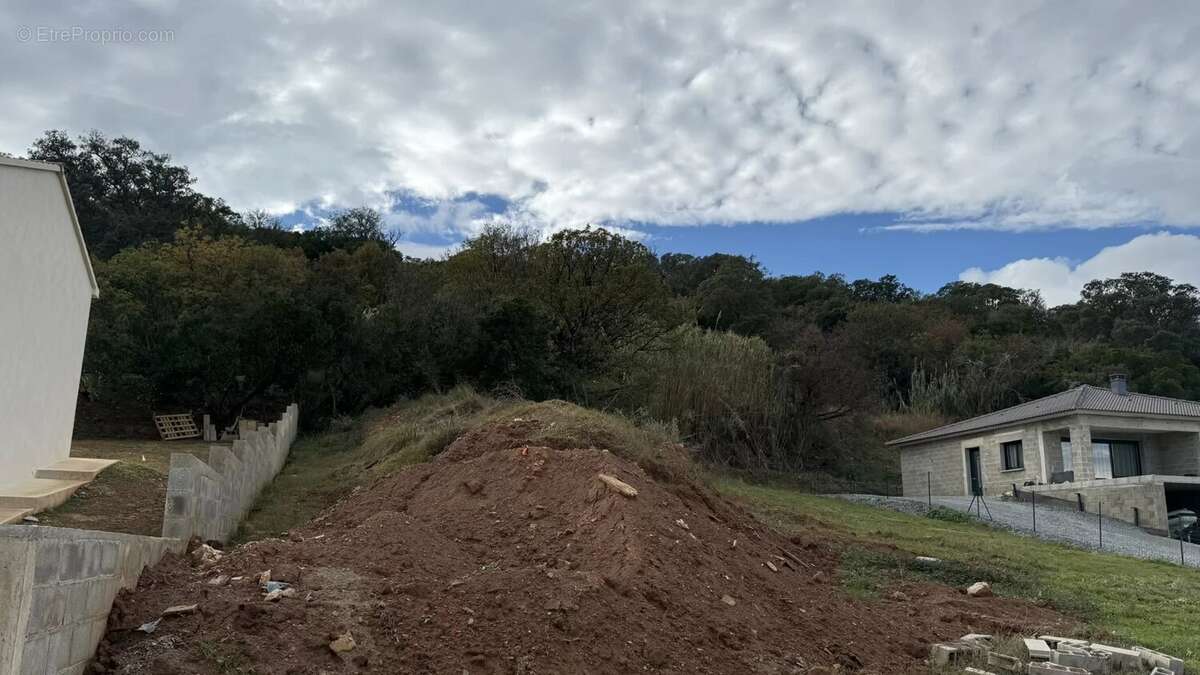 Terrain à POGGIO-MEZZANA