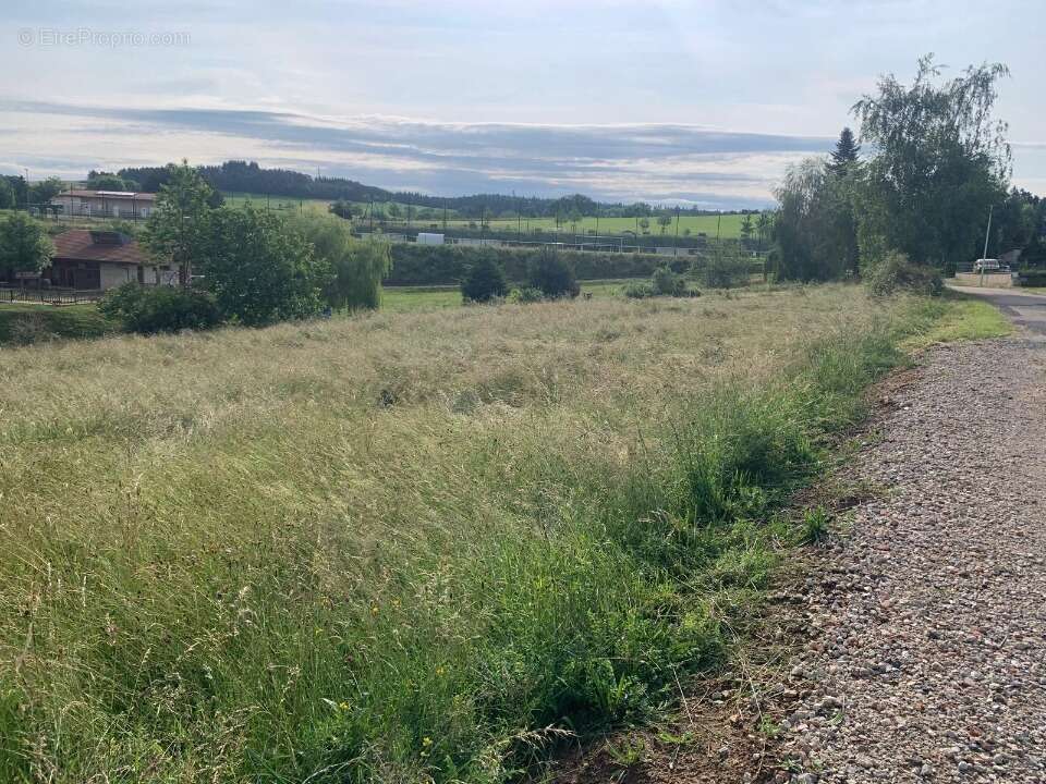 Terrain à LA CHAPELLE-D&#039;AUREC