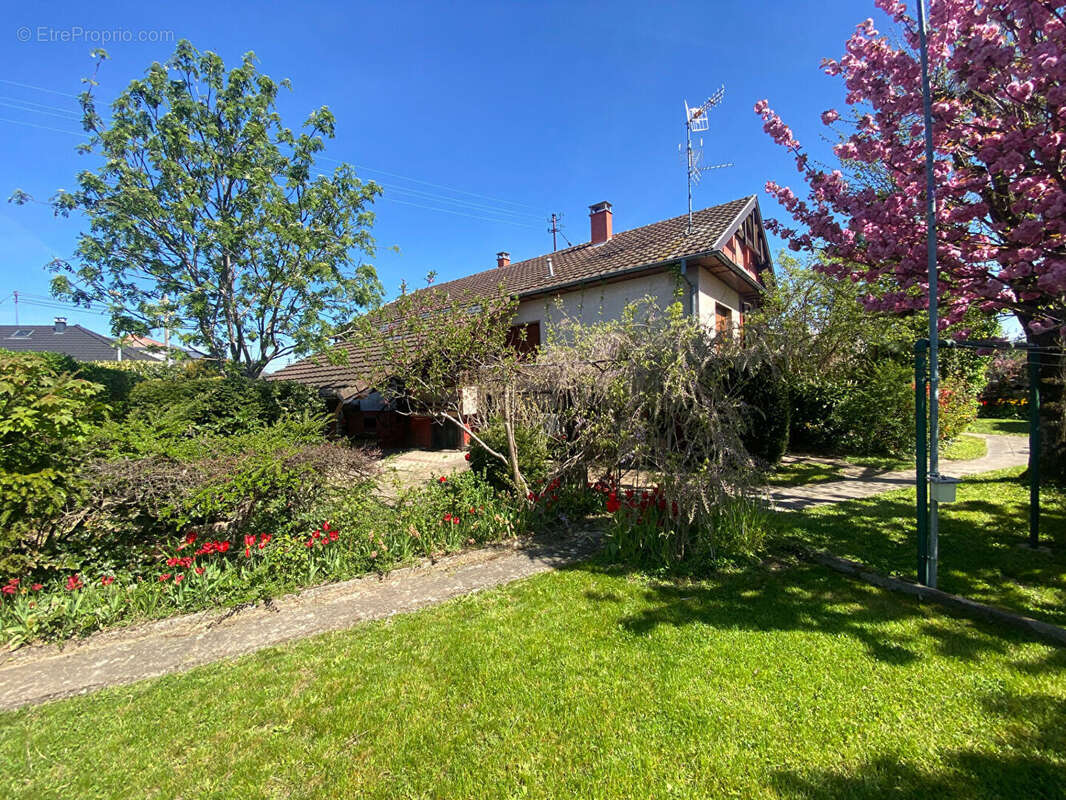 Maison à CERNAY