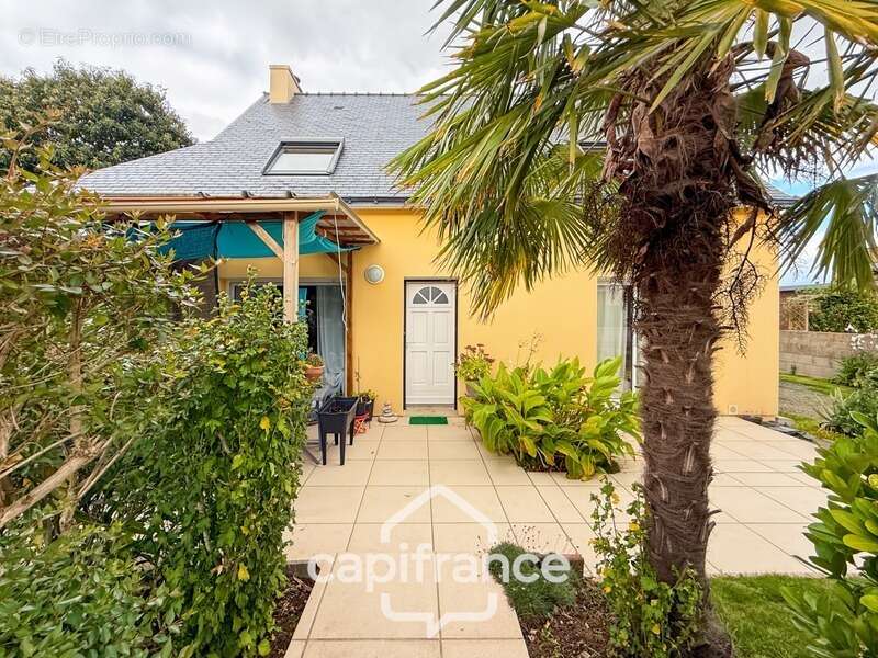 Maison à NOYAL-PONTIVY