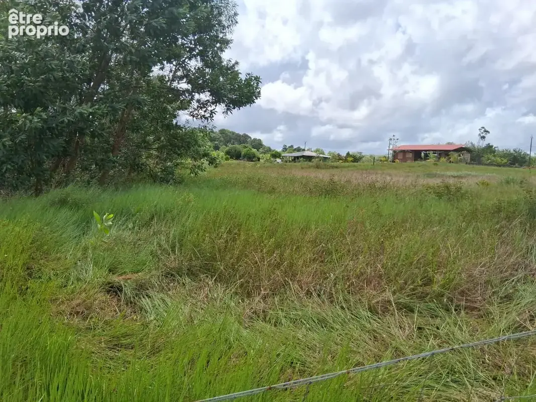 Terrain  3381 m2 -constructible - KOUROU - photo 2