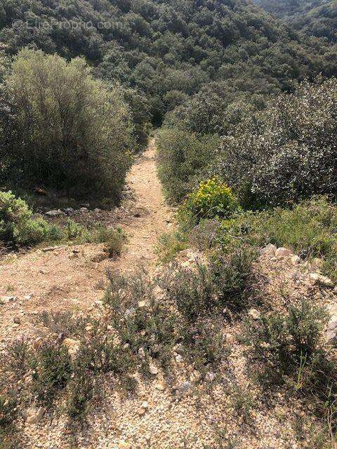 Photo 4 - Terrain à SAINT-BONNET-DU-GARD