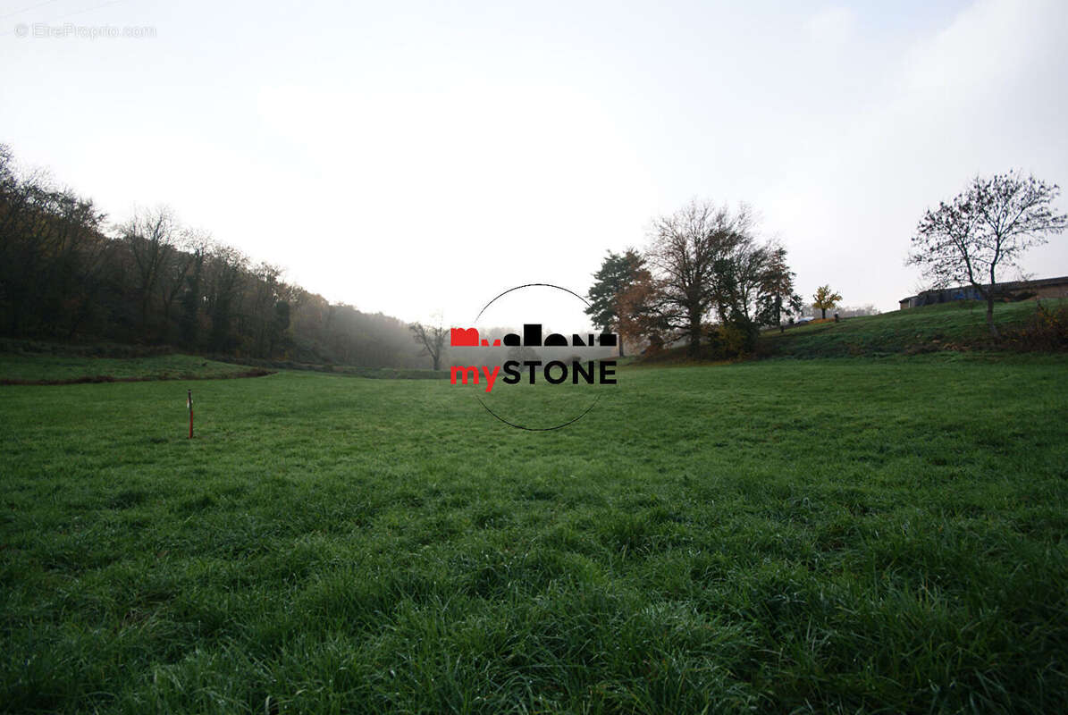 Terrain à SAINT-AMOUR-BELLEVUE