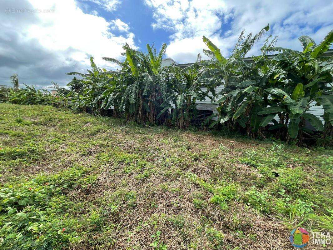 Teka immo vous propose a vendre des parcelles de 300m²  sur st benoit, a moins de 5 minutes du gher, ile de la reunion - photo 3