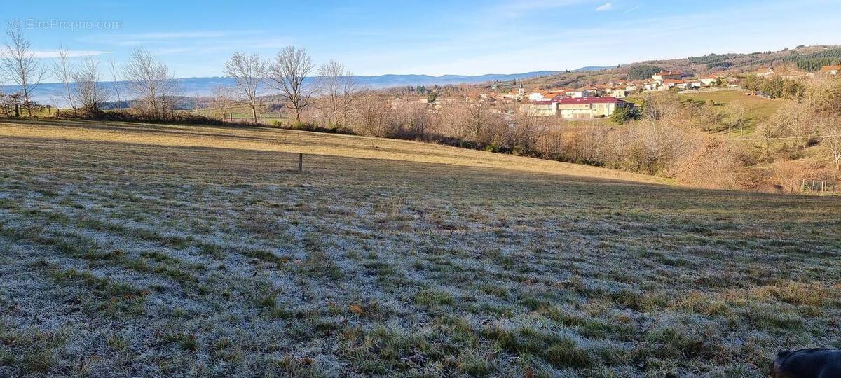 Photo 1 - Terrain à MONTCHAL