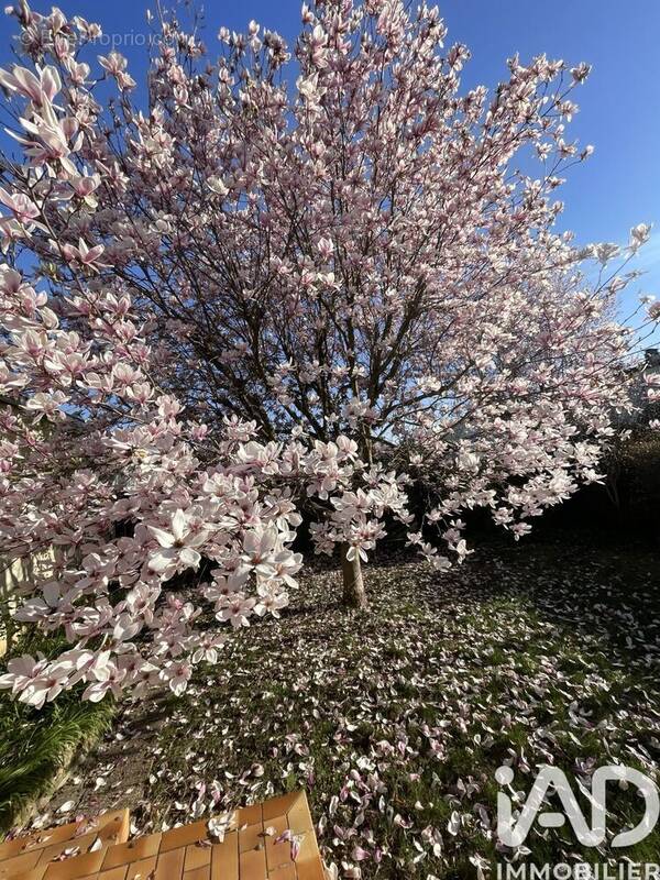 Photo 1 - Maison à EPINAY-SOUS-SENART