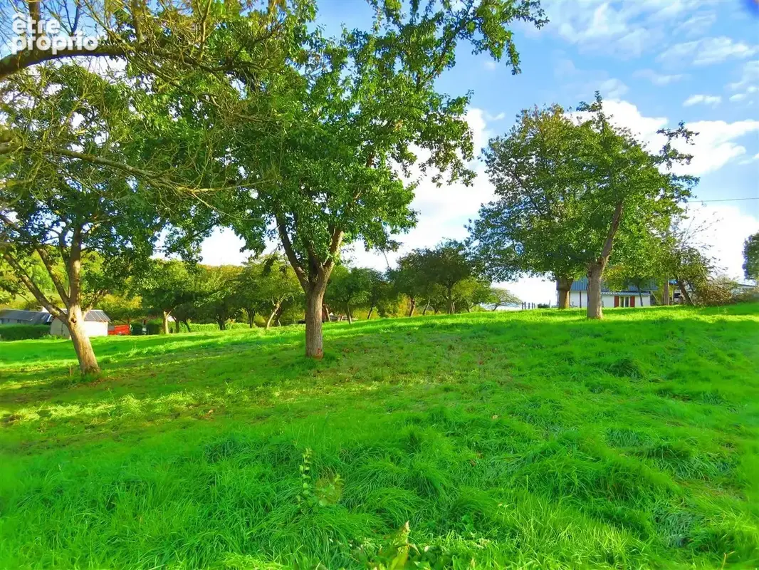 propriété sur 1ha au fond d'un chemin au grand calme... - photo 19