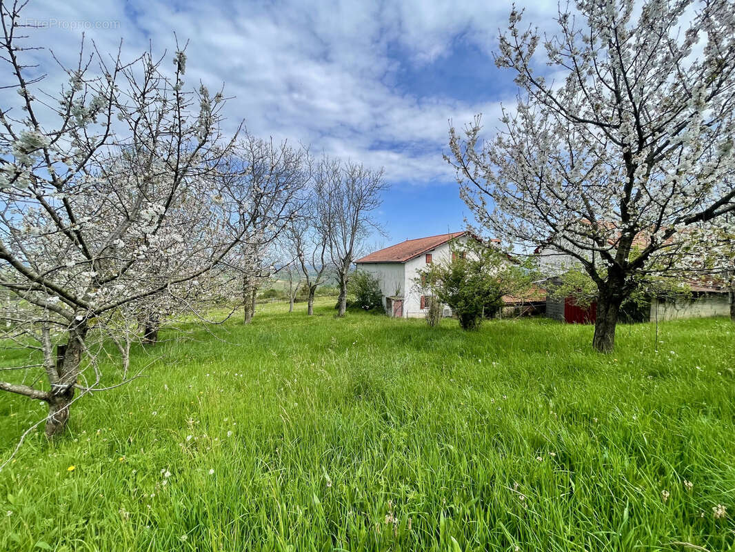 Maison à LOHITZUN-OYHERCQ